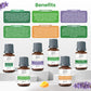 RaindropRelaxation - Calm Dreams - Essential Oil - 6 Pack: Lavender, Peppermint, Lemongrass, Tea Tree, Sweet Orange and Eucalyptus